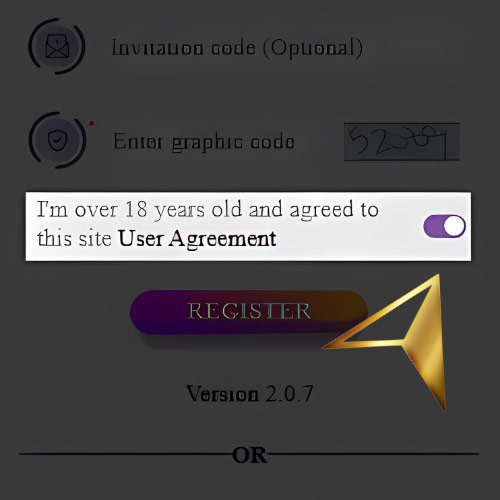Instruction Confirm Age